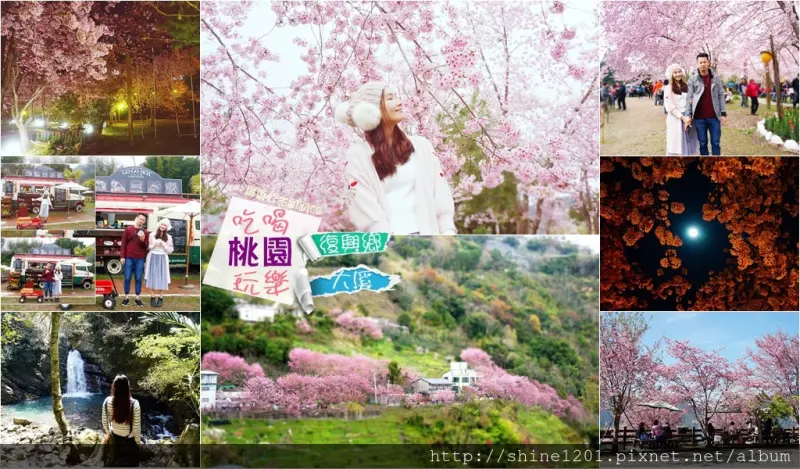 桃園復興.大溪景點美食｜拉拉山恩愛農場賞櫻.春夏復興.大溪景點美食吃喝玩樂跟我走