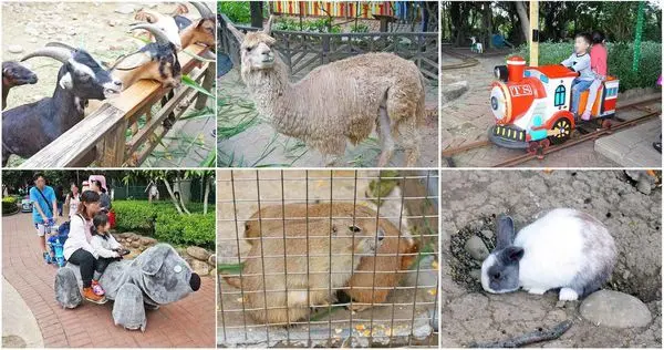  【桃園景點】羊世界牧場-有如一座小型動物園，還可以餵羊的好玩親子景點