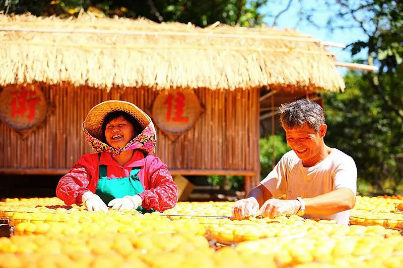 (((柿餅の原鄉 道地の原味