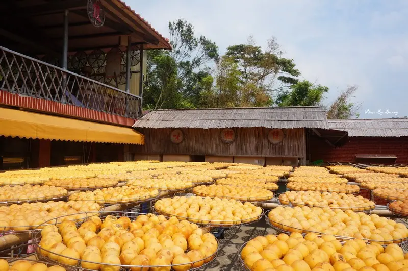 【新竹】新埔鎮 味衛佳柿餅觀光農場 秋季限定的陽光甜蜜滋味