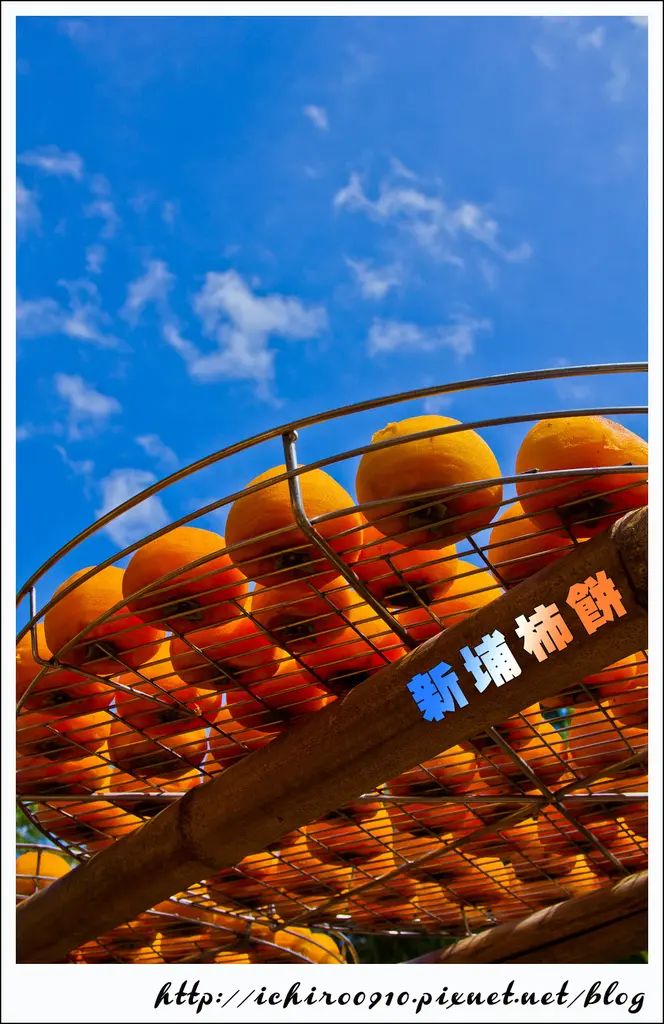 [遊記]【新竹縣新埔鎮】味衛佳觀光果園。壯觀的日曬柿餅美景