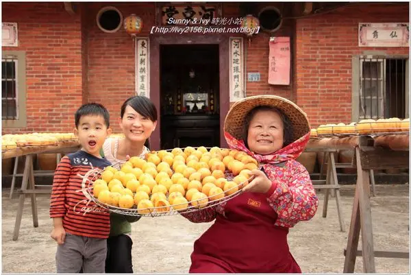 【免費好康報報】新竹新埔觀光工廠 - 味衛佳柿餅觀光農場。造訪金黃柿子香