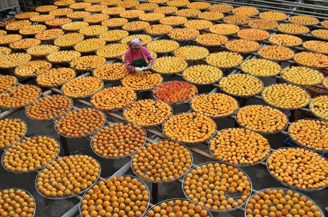 柿柿如意~好柿當頭~衛味佳柿餅觀光工廠