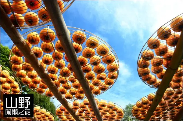 【新竹】味衛佳柿餅觀光果園 (附地圖)