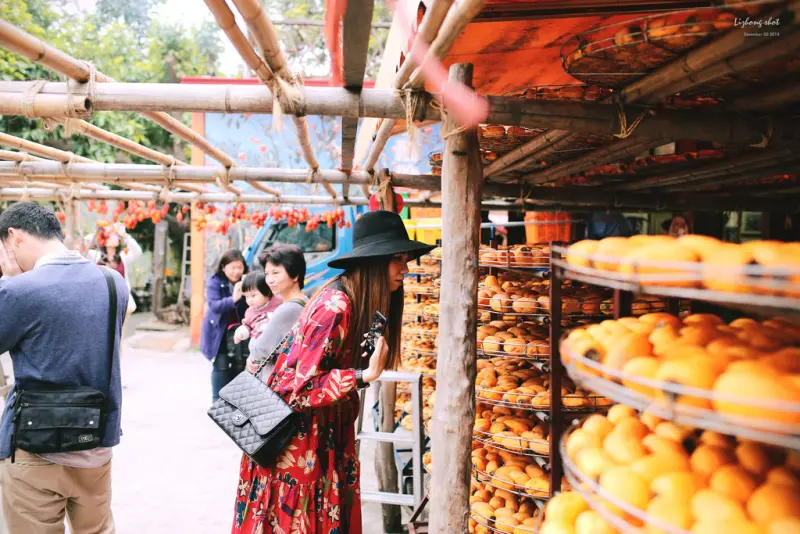 冬日柿餅進香團