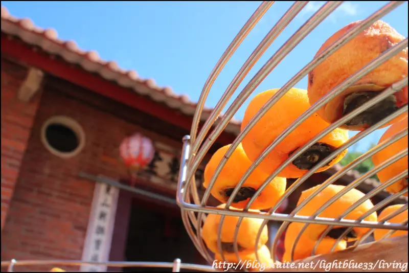 新竹景點:淺藍 × 味衛佳柿餅觀光農場~柿餅季開跑,九降風吹紅柿餅,帶來季節限定的超療癒好拍景點