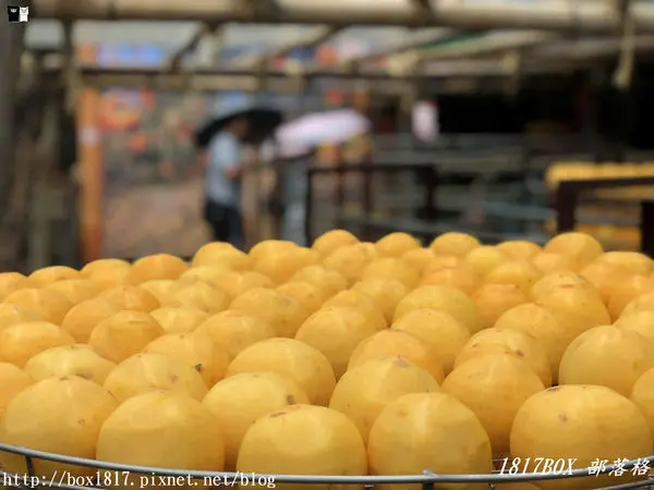 【新竹。新埔】雨中賞柿行。味衛佳柿餅觀光農場