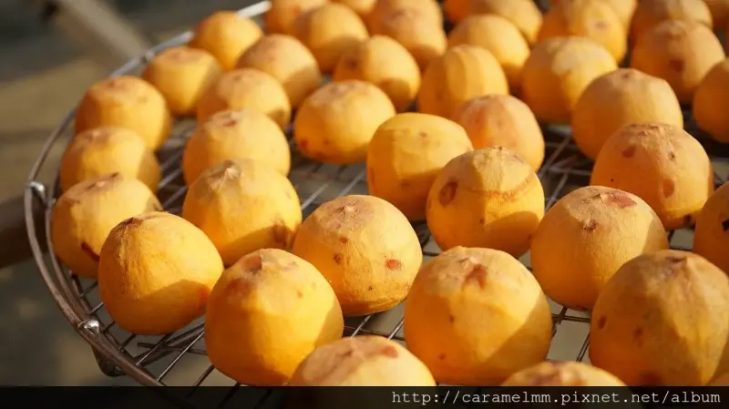 【新竹新埔】味衛佳柿餅觀光農場 秋季季節限定 黃澄澄的金色碩果10-11月最美 DIY柿染坊 新竹親子假日好去處 新竹一日遊