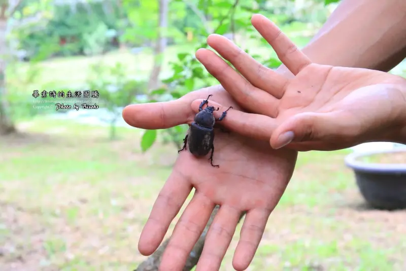 【旅遊】寓教於樂的低碳生態教育之旅─九芎湖休閒農業產區