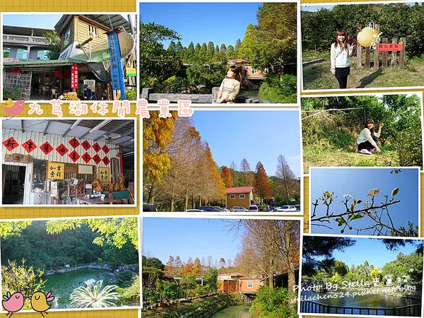 【新竹-新埔】照門休閒農場賞落羽松(九芎湖。明池。金谷農場。周家庄觀光農場。新津醬油。百年古厝。鴛鴦池。劉家莊悶雞)