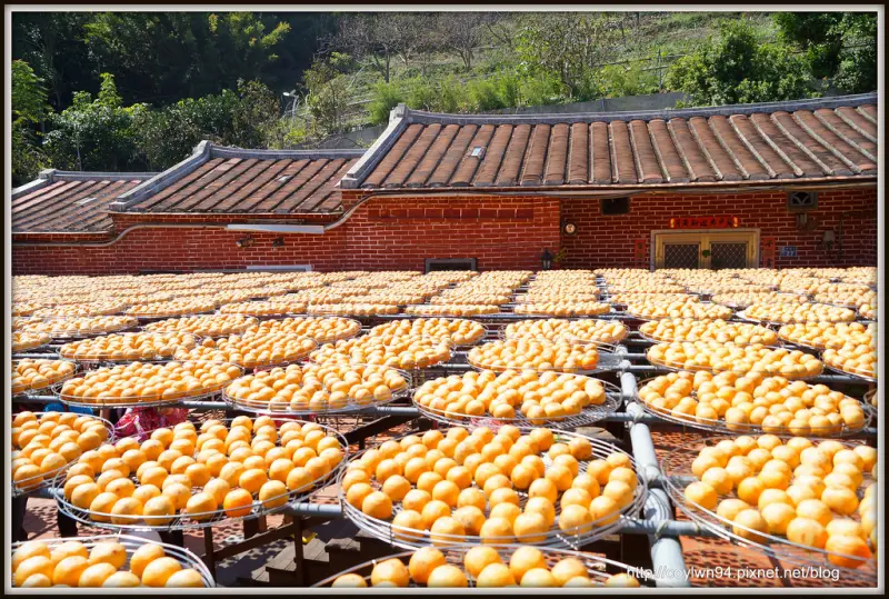 柿柿如意~金漢柿餅