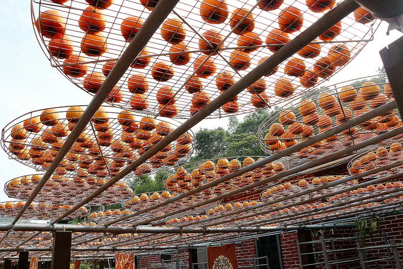 【羽諾食記】新埔鎮金漢柿餅產業文化園區♥柿餅廠柿染DIY體驗♥新竹縣觀光休閒之旅