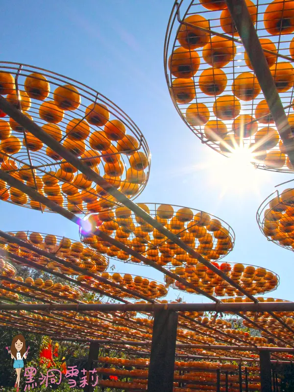 【遊記】新竹「百年書院柿染手作文創輕旅行」．柿餅/仙人掌/老街/書院〃一日小旅行