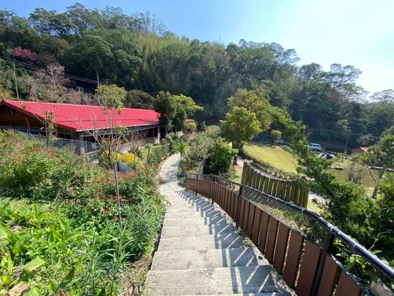 【新竹新埔-陳家農場】九芎湖寵物友善景點/擂茶、搗糯米/照咖雅品喝咖啡