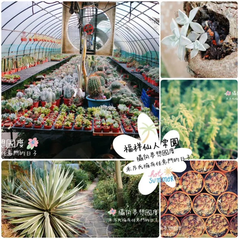 ｜新竹HSINCHU 福祥仙人掌園區FuHsiang Cactus｜禾乃氏－擁有任意門的日子：多肉迷的福音，療癒仙人掌園大開眼界