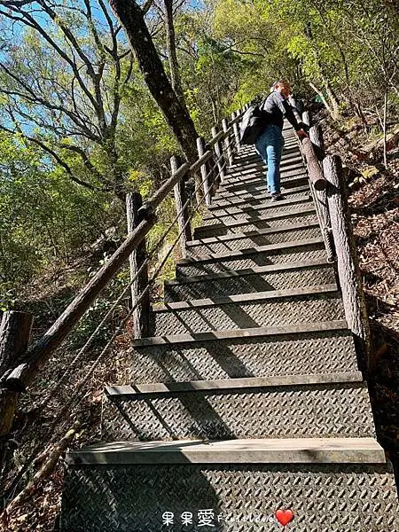 可以從高處欣賞谷關的美景　捎來步道　　有陡坡需要一些腳力　　親子寵物友善　不限大小　最少要牽繩
