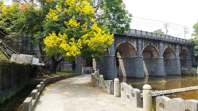 [新竹⊙關西]東安古橋。入秋的季節。充滿了繽紛的色彩