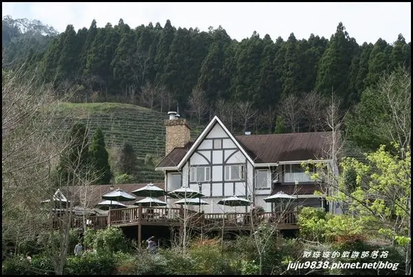 新竹。山上人家森林農場櫻花開順遊涼山部落。鵝公髻山森林步道走走