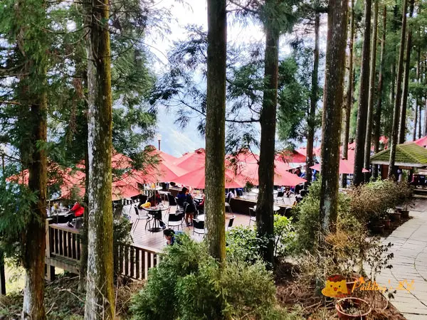 【遊記-新竹】五峰高海拔雲海上的景觀住宿餐廳《山上人家森林農場》~~~民宿/露營/櫻花/森林咖啡