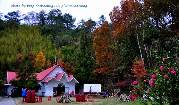 【尖石 / 賞楓】司馬庫斯 - 上帝的部落。世外桃源的泰雅故鄉 