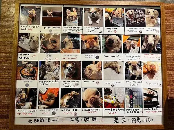 LINE_ALBUM_出國前的圖片_250209_93