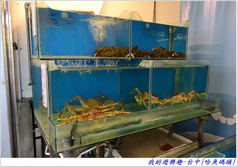 一改再改.越改越糟的.台中-哈魚碼頭