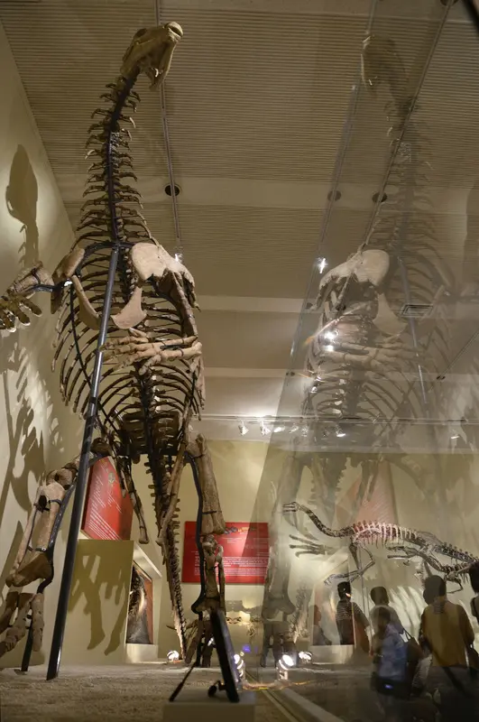 ◈台中◈ⓜ自然科學博物館(從龍到獸)ⓜ