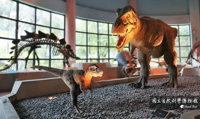 【台中景點】國立自然科學博物館 - 寓教於樂，還有恐龍出沒 / 拍岸鯨奇鯨豚特展分享 / 室內親子景點