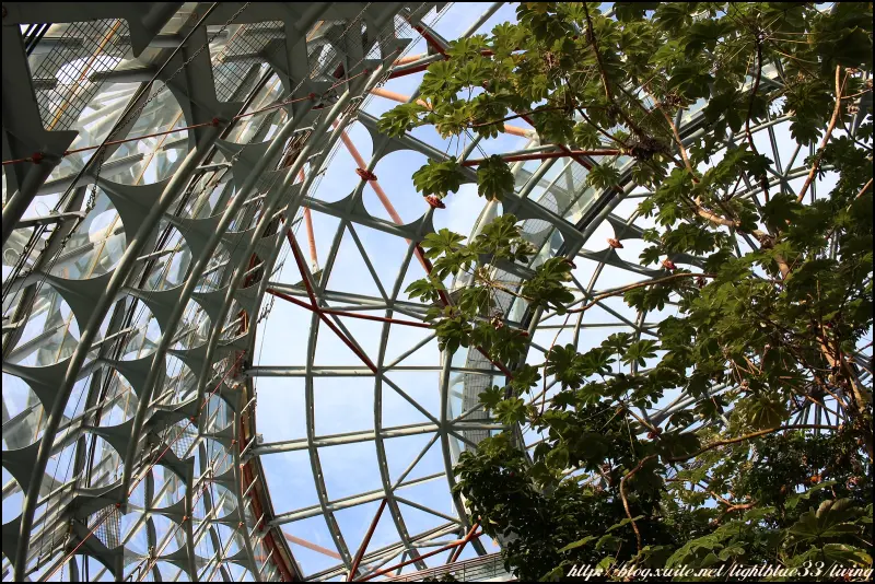台中景點：台中植物園～都市裡的熱帶雨林