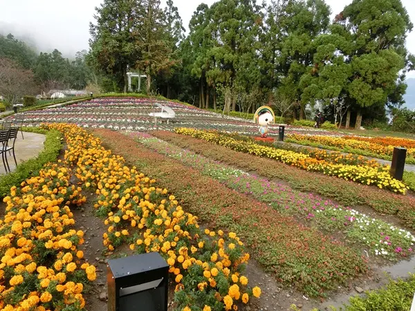 南投清境農場旁的北歐風情~小瑞士花園