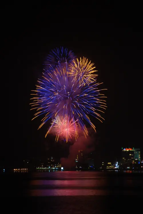 ◈南投◈ⓜ2008日月潭花火節ⓜ