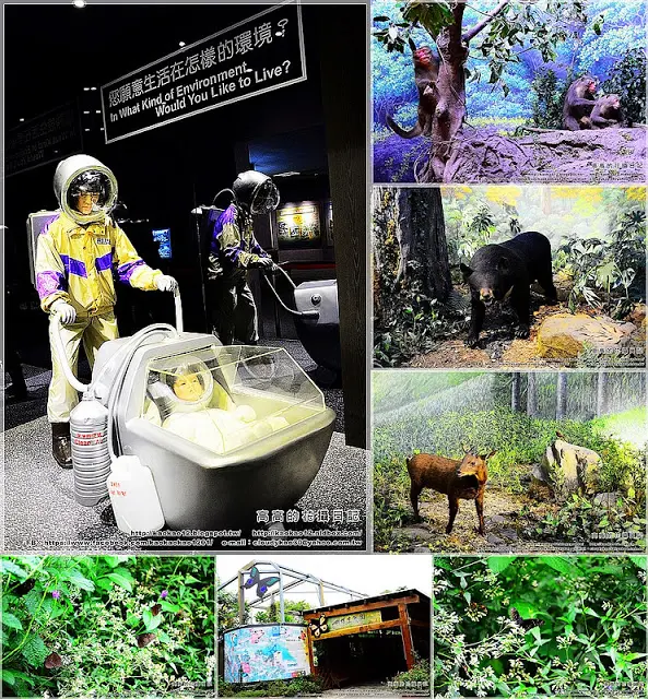 【南投】集集鎮。特有生物研究保育中心        
      