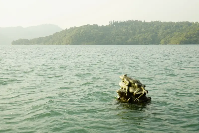 日月潭找青蛙--每每看見九蛙新聞，自已也來找看看