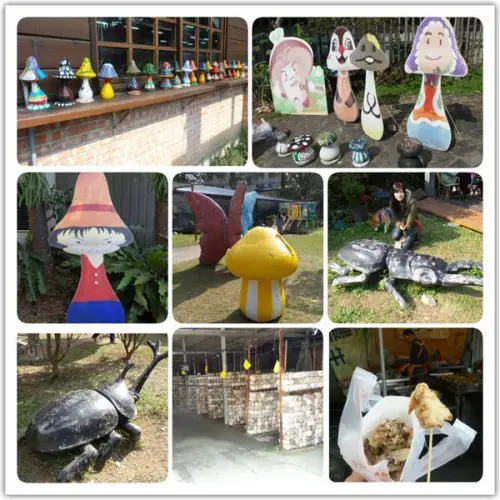 菇之鄉~豐年靈芝菇類生態農場        
      