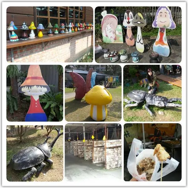 菇之鄉~豐年靈芝菇類生態農場        
      