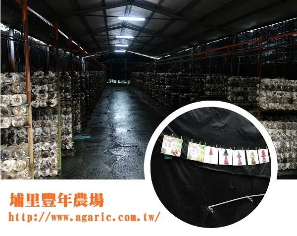 豐年農場-爸媽們很殺時間的好去處