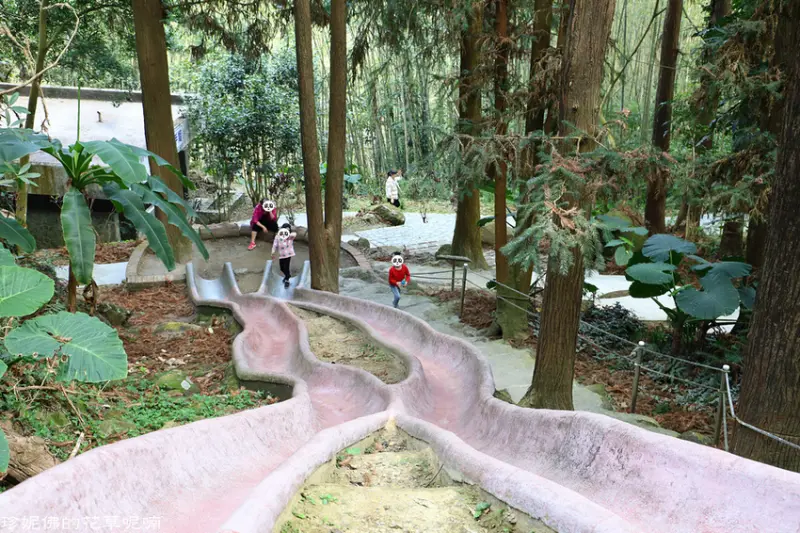 【南投-鹿谷鄉】國立自然科學博物館鳳凰谷鳥園生態園區