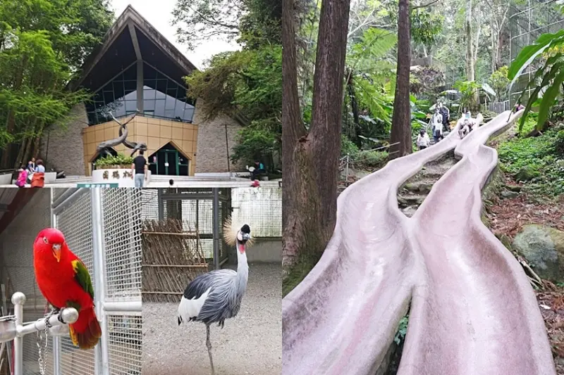 【南投景點】鹿谷鄉,國立自然科學博物館,鳳凰谷鳥園生態園區,親子旅遊推薦,森林長坡溜滑梯,吊橋
