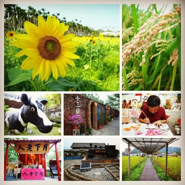 ＜活動＞南投集集鄉野之旅DAY1文藝線                
      