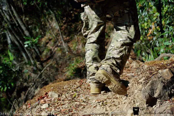 【嘉義。阿里山】尋找落入凡間的仙境。水漾森林一日單攻來回。挑戰不可能的任務。10小時全紀錄