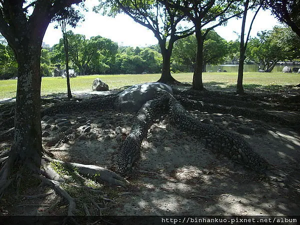 遊記----羅東運動公園(5)