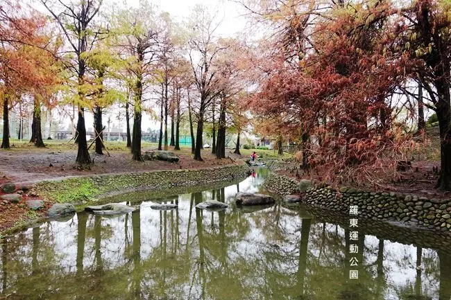 宜蘭落羽松景點 ▶ 羅東運動公園 ▶ 整片落羽松林、造景水池 浪漫迷人的冬季限定景色 彷彿置身北國風情畫 #2018.01.21現況