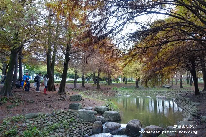 【宜蘭景點】羅東運動公園♥季節限定~浪漫落羽松 詩情畫意 怎麼拍都美!!