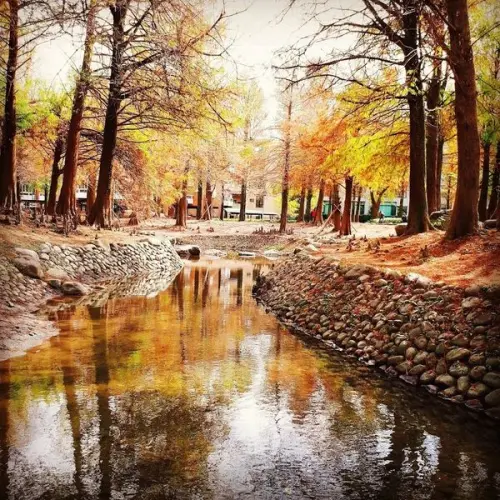 宜蘭排隊早午餐【力行早餐/阿德早午餐】羅東運動公園落羽松紅/傳藝老爺行旅按讚送飲品/宜蘭美食輕旅行
