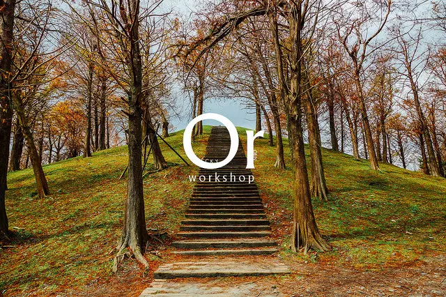 [宜蘭] 冬天來宜蘭看整片的落羽松吧！羅東運動公園 - 東丘