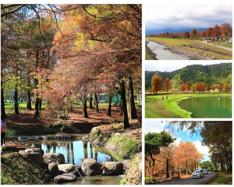 一日走訪宜蘭落羽松秘境的攝影寫真：羅東運動公園、三星安農溪畔、員山福園蜊埤湖