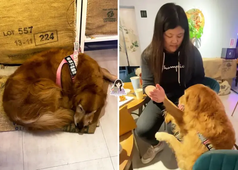 【基隆咖啡廳】啾啾咖啡-外木山附菜單，鬆餅現點現烤，香濃又酥