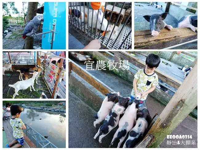 【宜蘭景點+美食】宜農牧場 ♥ 親子同遊 遛小孩好去處 體驗餵羊 餵小豬 餵兔子等可愛動物 還有DIY ♥ 礁溪美食 八寶冬粉+正常鮮肉小湯包