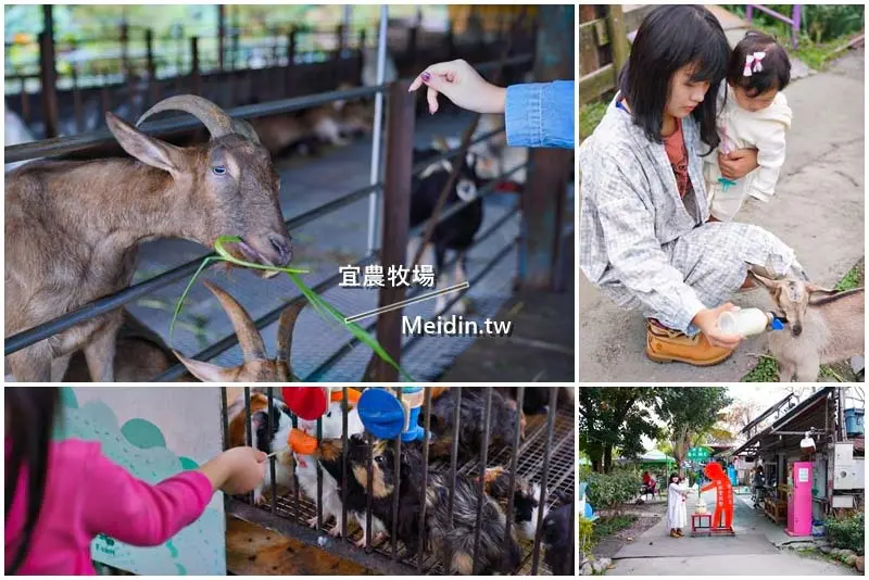 【宜蘭景點】宜農牧場｜餵鴨餵羊餵豬樣樣來｜宜蘭親子景點｜