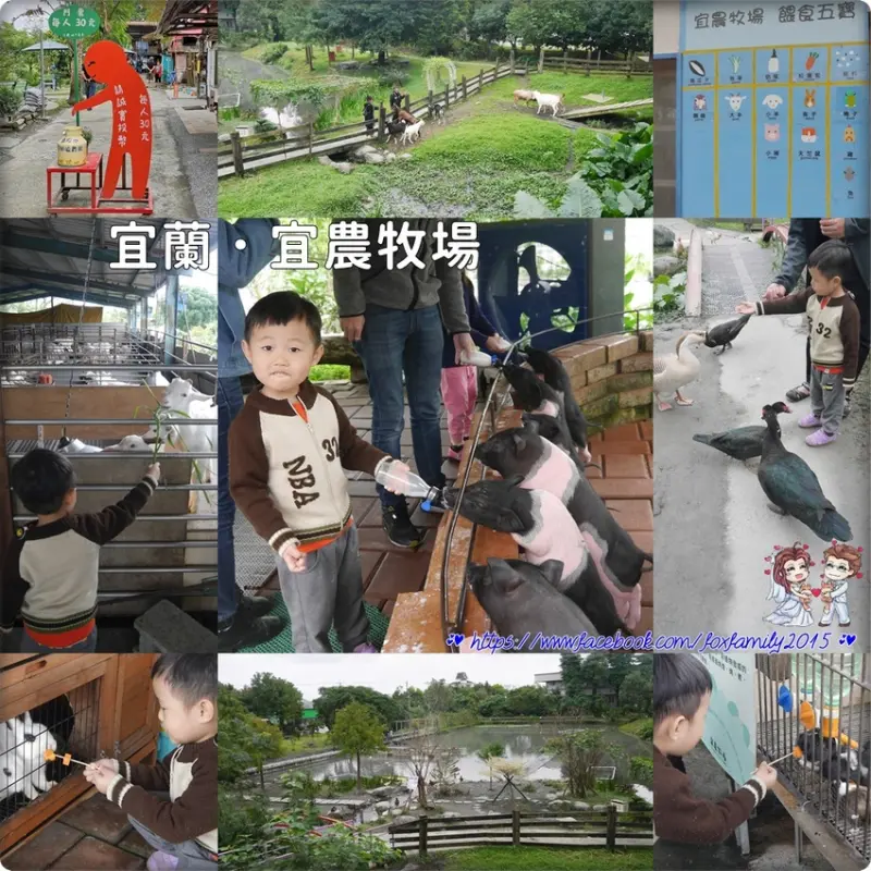 宜蘭♥♡♥宜農牧場．喜愛近距離接觸、餵食小動物的親子好景點